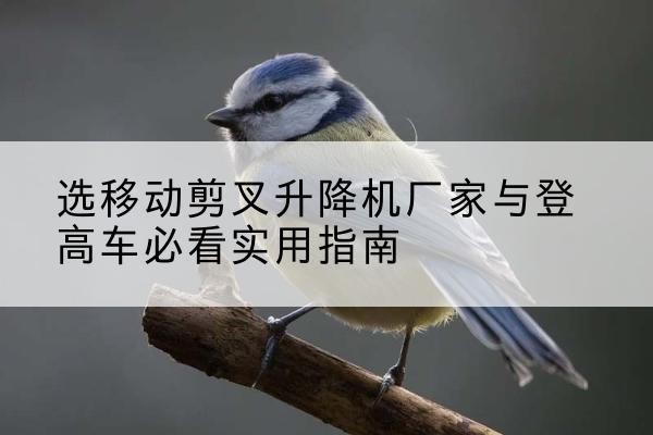 成都电动升降机厂家-选移动剪叉升降机厂家与登高车必看实用指南