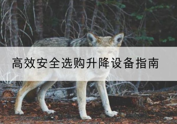 成都升降货梯厂家推荐-*安全选购升降设备指南